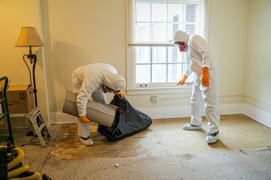 Restoration workers removing carpet